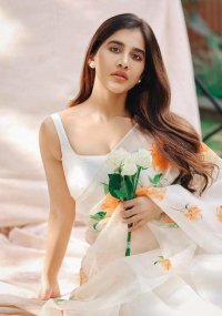 nabha natesh_teluguvox 6